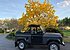 1987 Land Rover Defender 90 for sale 101495414